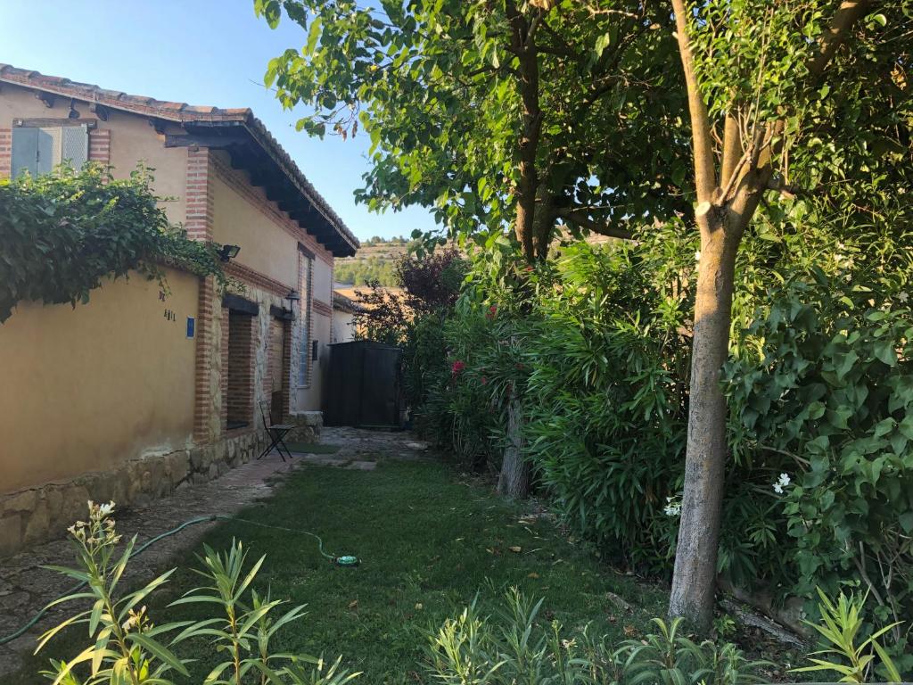 Zahrada ubytování Casa rural De Añil - Jardín privado