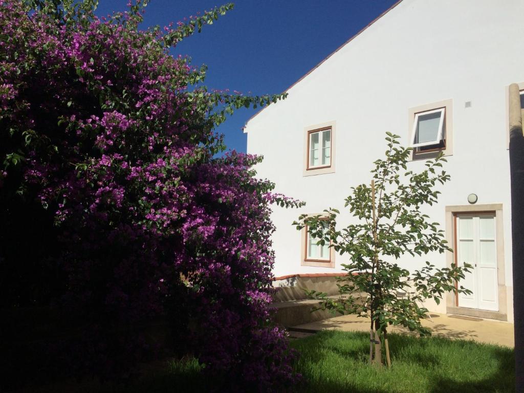 a white house with purple flowers in front of it at SOBRE RIBAS 2|12 in Coimbra
