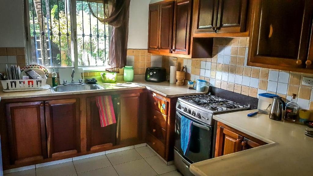 Kuchyň nebo kuchyňský kout v ubytování Villa Strelitzia Cabarete