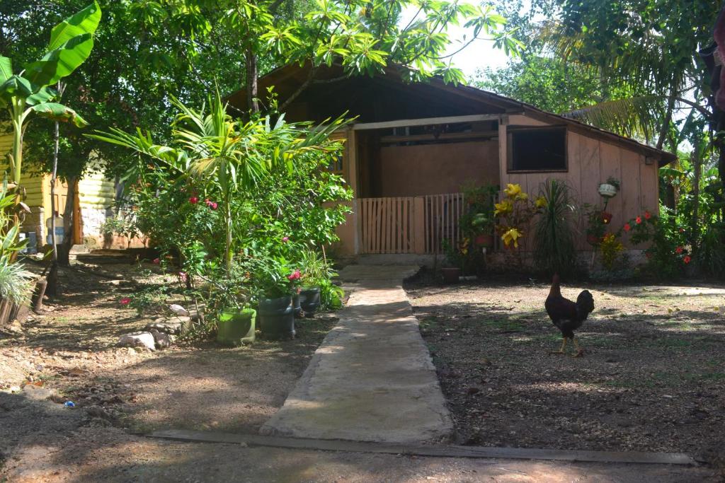 Posada los Reyecitos