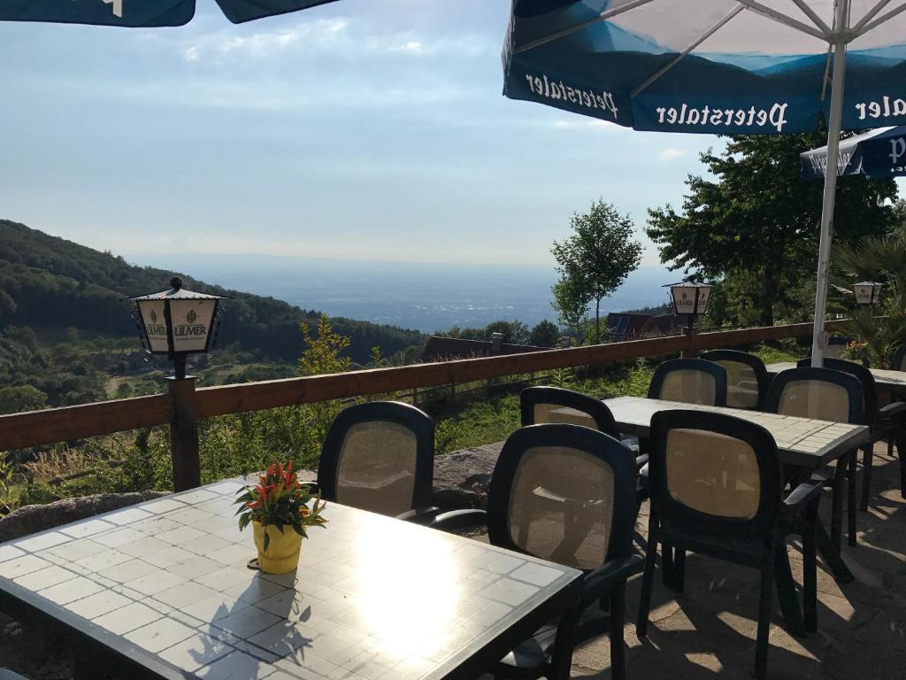 Příroda nedaleko hotelu