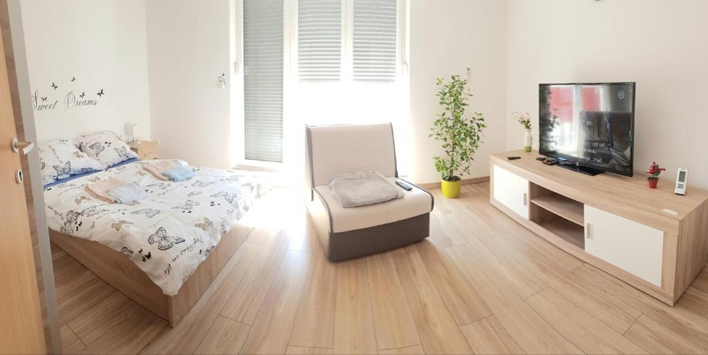 Televízia a/alebo spoločenská miestnosť v ubytovaní Penthouse Spudic Karlovac