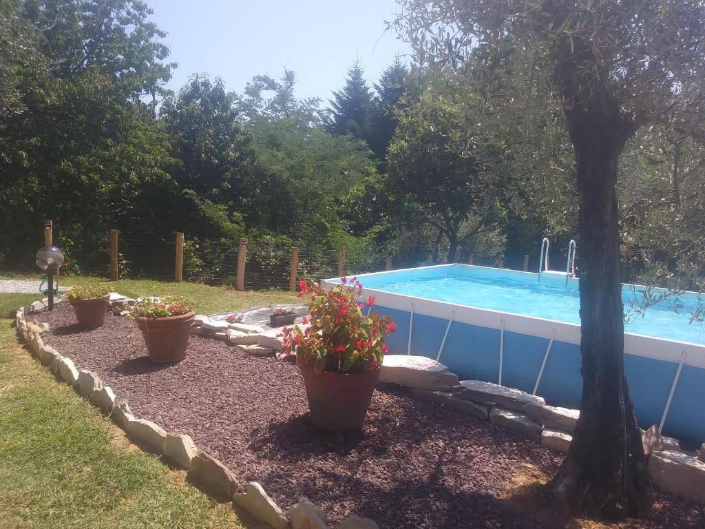 una piscina con tres macetas junto a un árbol en Ai Bastiani, en Capannori