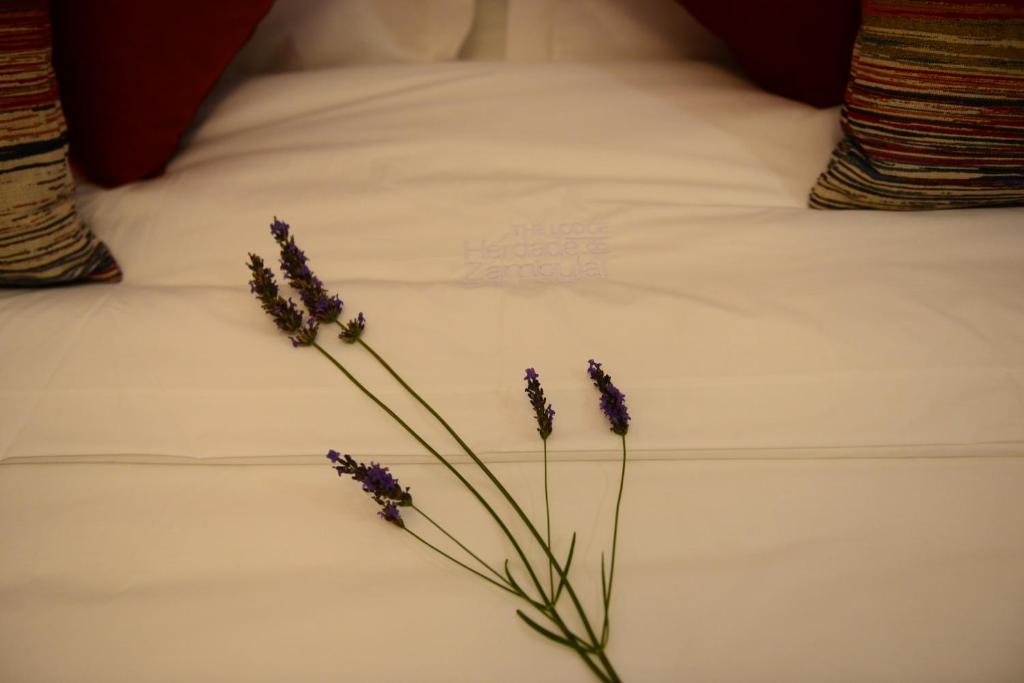 Vistas - Herdade do Zambujal - 3