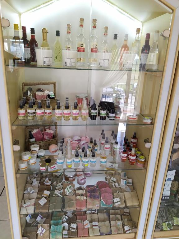 Fotografie z fotogalerie ubytování Adriani Inn v destinaci Paralia Katerinis
