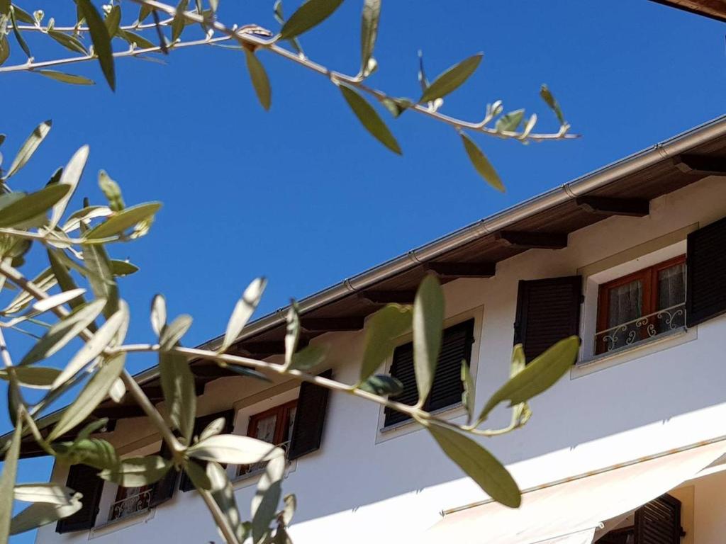 un edificio blanco con ventanas y un árbol en La Tana dei Sognatori - appartamenti con giardino, en Villanova dʼAsti