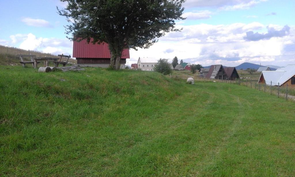 Příroda nedaleko apartmánu