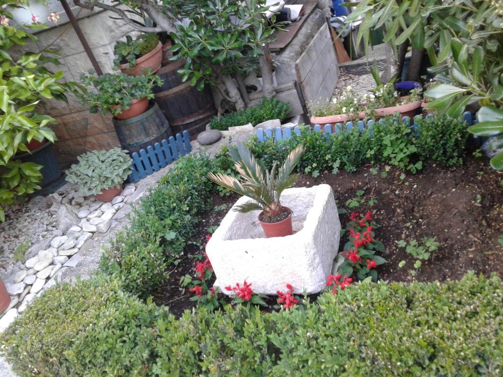 un giardino con piante in vaso e fiori in un cortile di ROOMS LUCE 2 & Supetar a Supetar (San Pietro di Brazza)