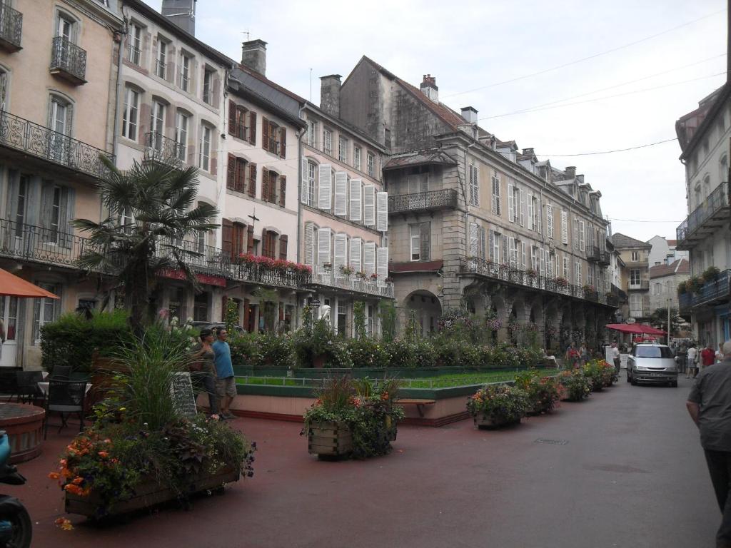 una calle en una ciudad con edificios y plantas en Appartements -2 Rue des Sybilles-La Plombinoise en Plombières-les-Bains