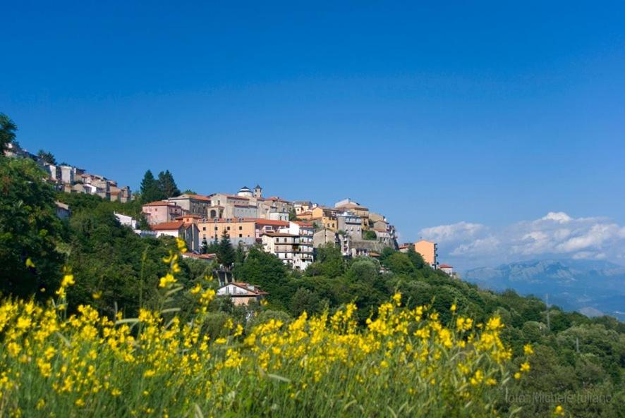 una ciudad en la cima de una colina con flores amarillas en Agriturismo Ai Monaci, en Montano Antilia