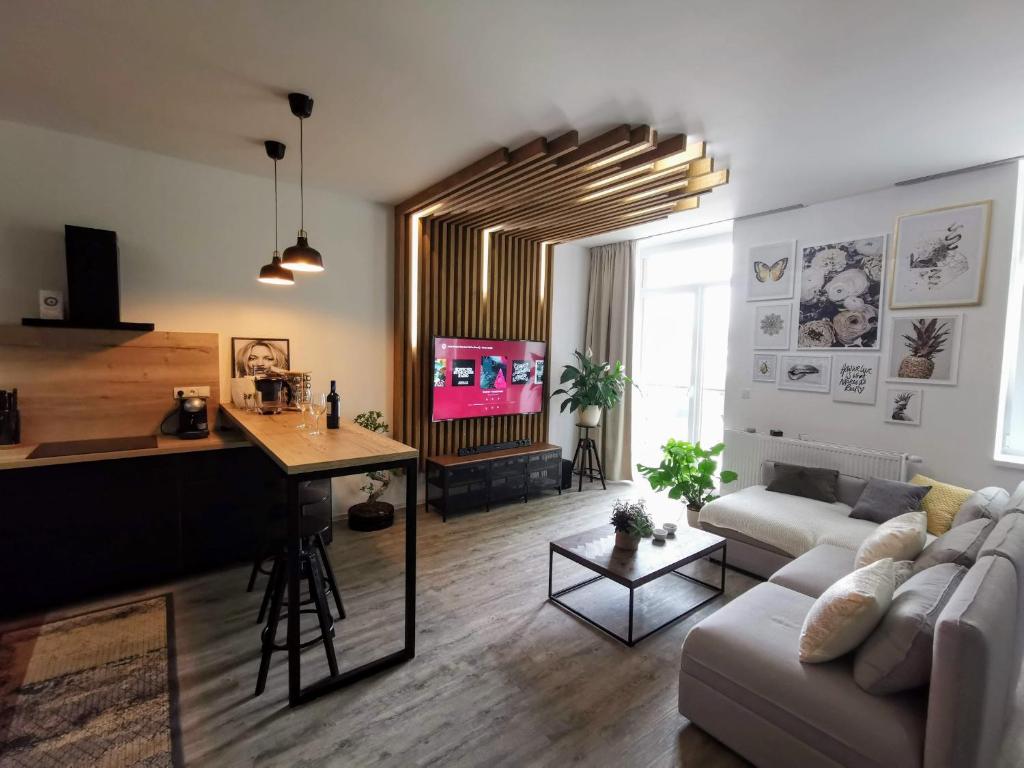 TV a/nebo společenská místnost v ubytování Iglovia Apartment