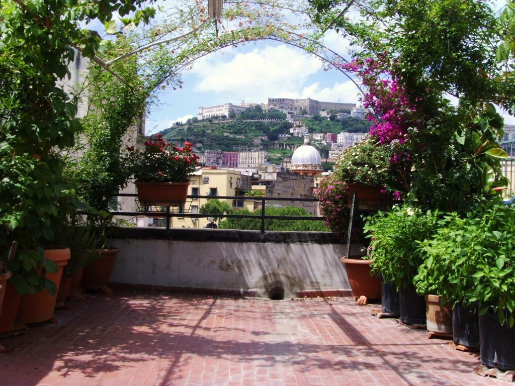 a view from the balcony of a building with plants at Come D'Incanto A Napoli in Naples