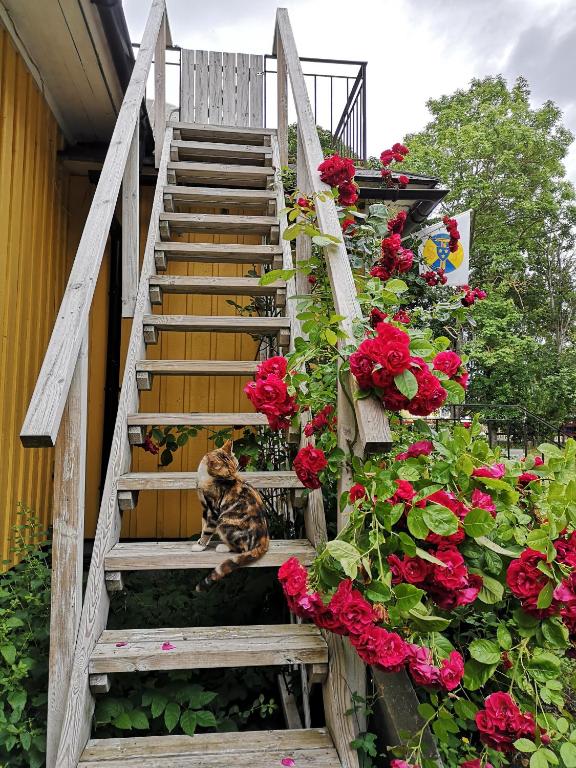 Zahrada ubytování STF Hagaby/Lantgården Hostel
