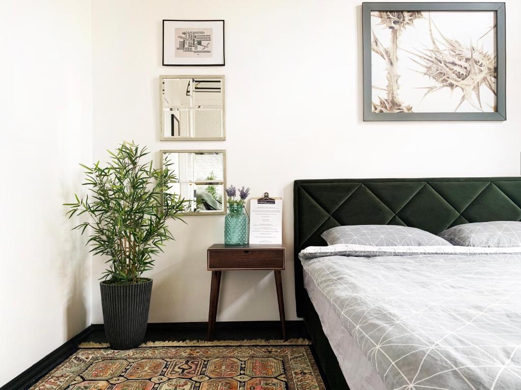 リヴィウにあるAvenue Apartmentsのベッドルーム(ベッド1台、鉢植えの植物付)