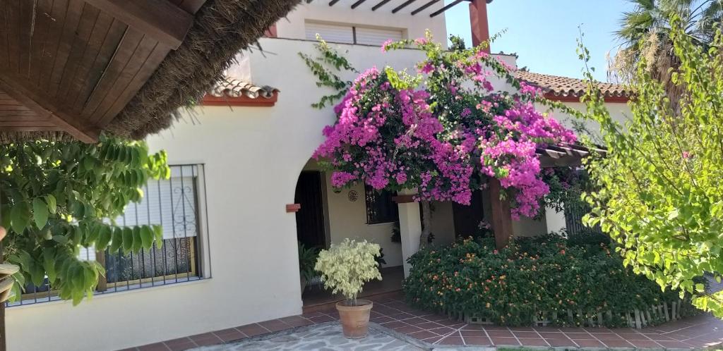 una casa blanca con flores púrpuras colgando de ella en Casa Chalet Las Camelias, en Los Barrios