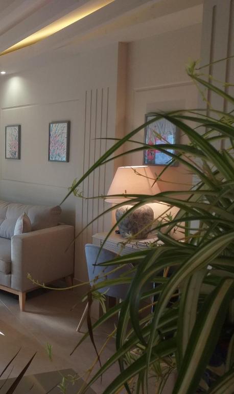 Apartamentos AS Malaga centro historico - 1