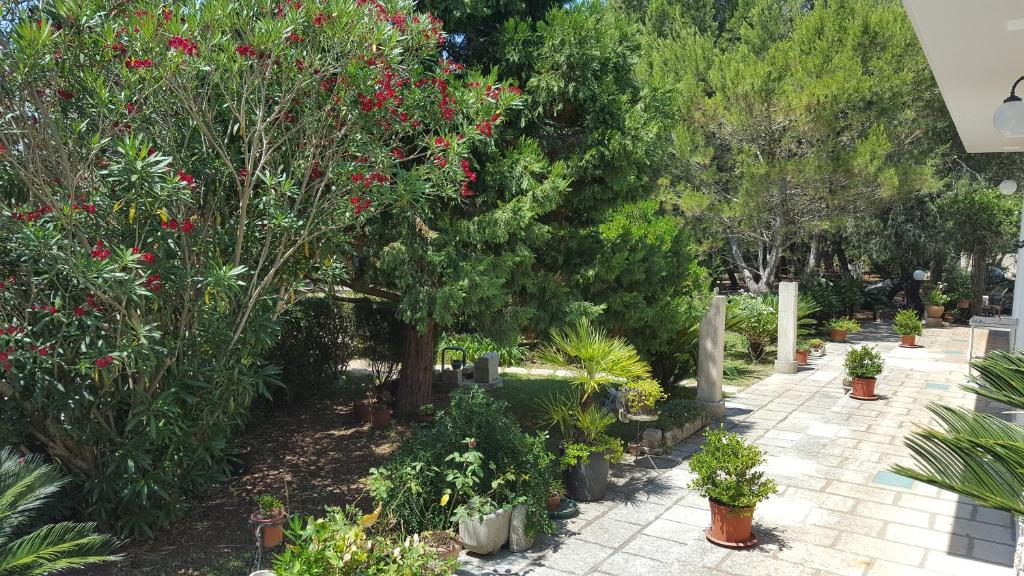 ogród z mnóstwem roślin, drzew i kwiatów w obiekcie Tenuta la Fresa w mieście Muro Leccese