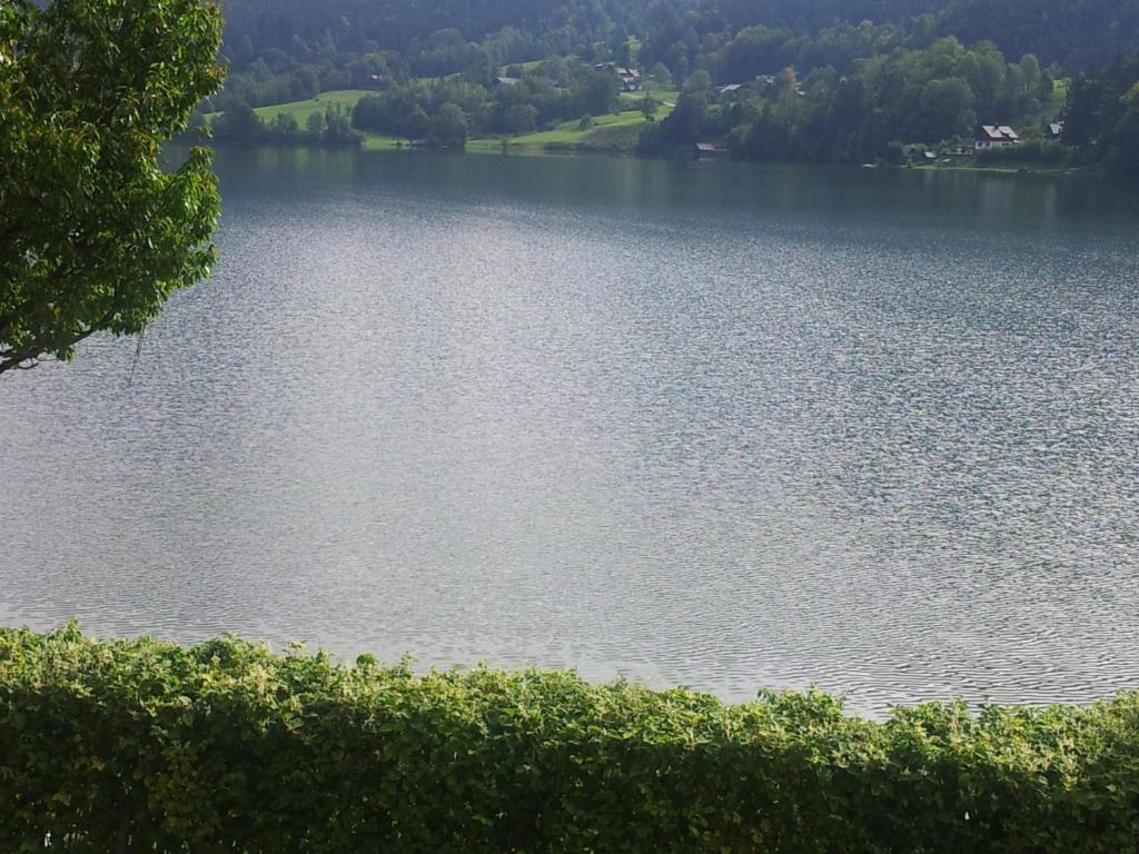 a large body of water with trees in the background at Appartements direkt am See in Grundlsee