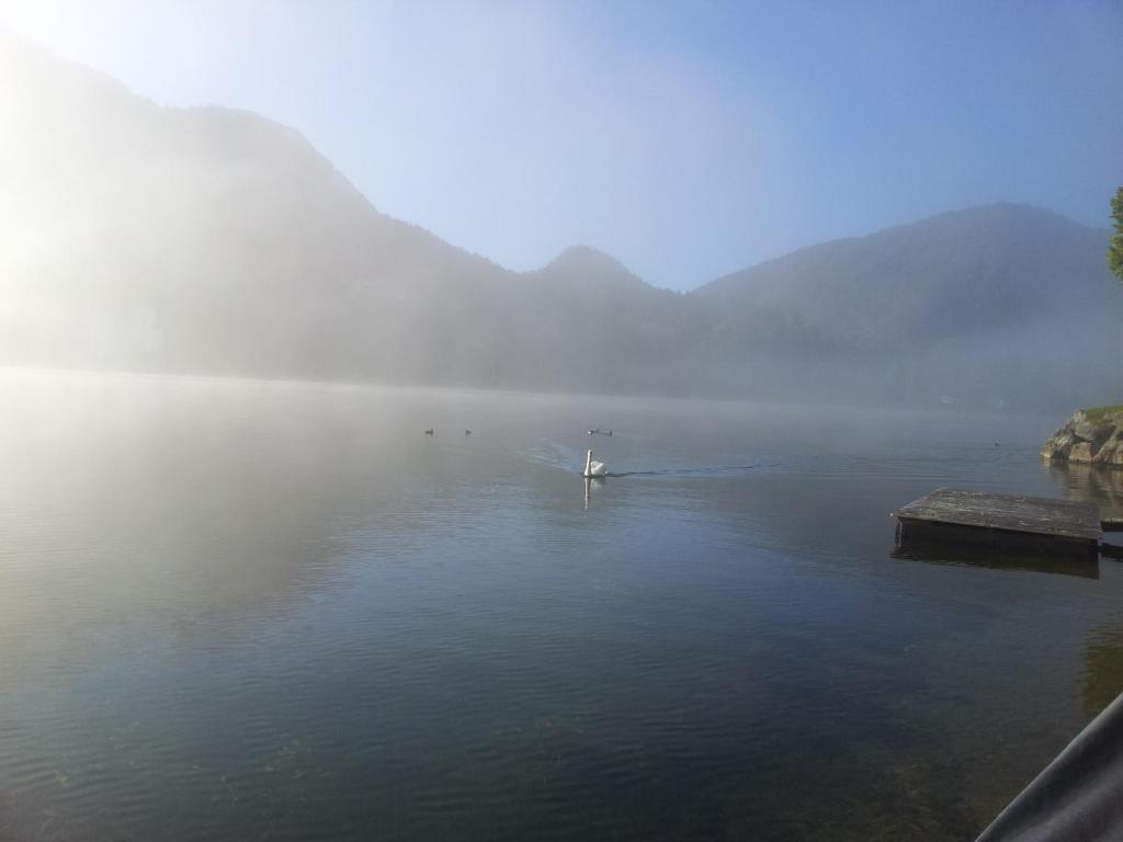 a boat floating on a lake in the fog at Appartements direkt am See in Grundlsee