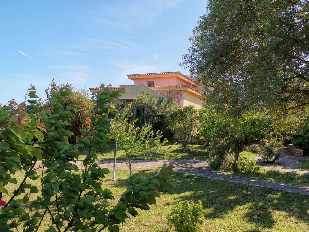 un jardín con árboles y una casa al fondo en Domenique en Budoni