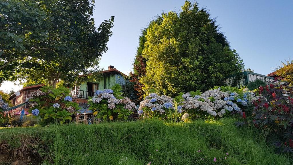 Zahrada ubytování Apartamentos Rosa Jove