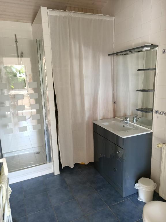 Koupelna v ubytování Appartement Gerezitenia