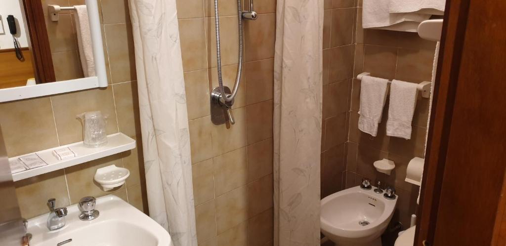Koupelna v ubytování Hotel Anselmi