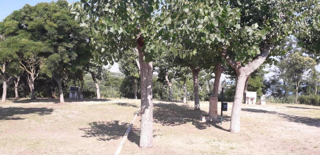 Zahrada ubytování Camping Torre Mucchia