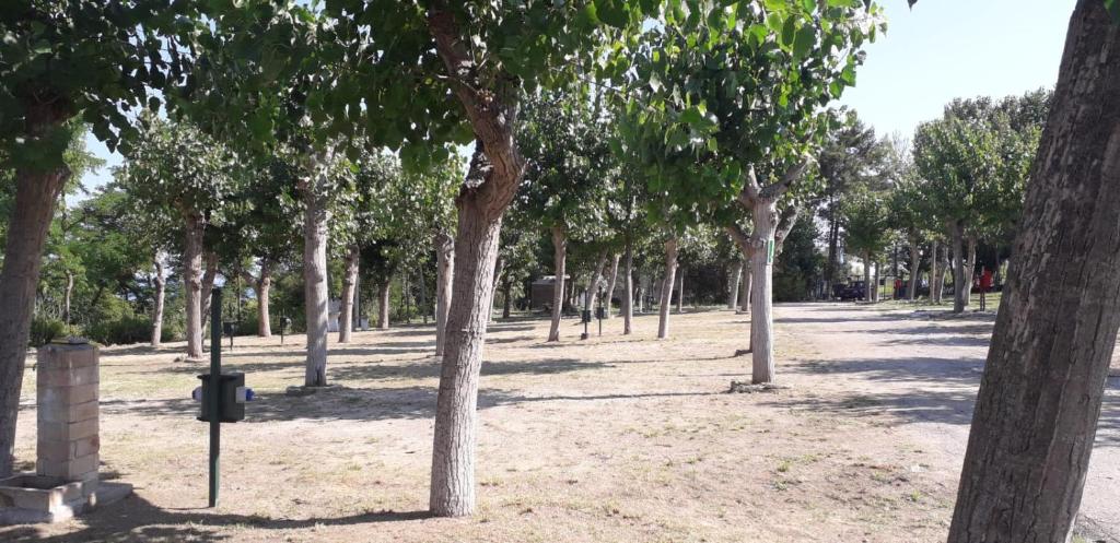 Zahrada ubytování Camping Torre Mucchia