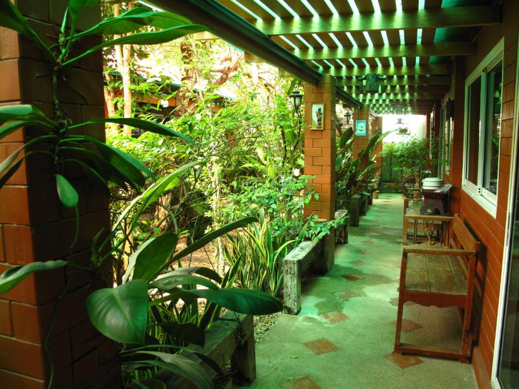 Zahrada ubytování P.Y. Guest House