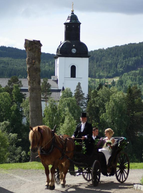 Hosté ubytování Järvsöbaden