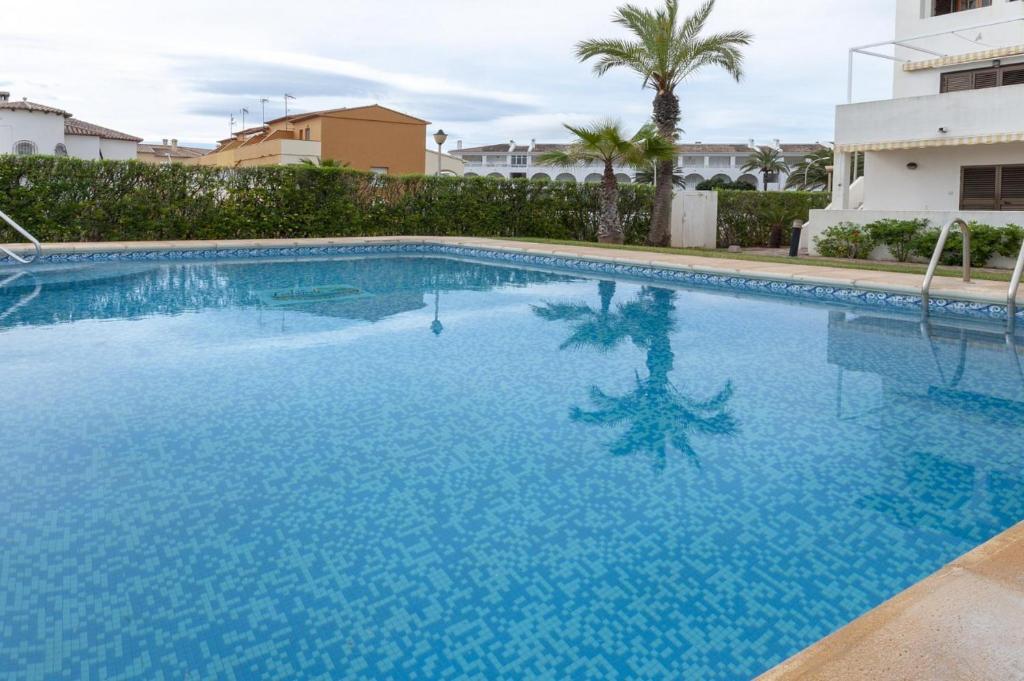 Secreto, Oliva – Precios actualizados 2023