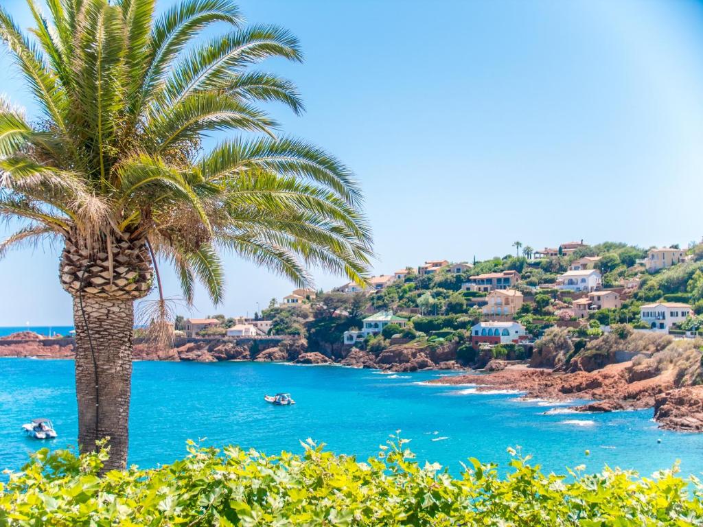 a palm tree on a beach with boats in the water at Hôtel et Appart Hôtel Les Flots Bleus in Agay - Saint Raphael