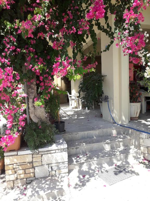 Zahrada ubytování Knossos Hotel
