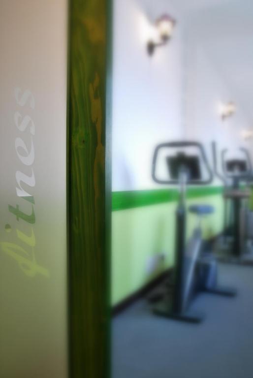 Fitness centrum a/nebo fitness zařízení v ubytování Pension Patrik