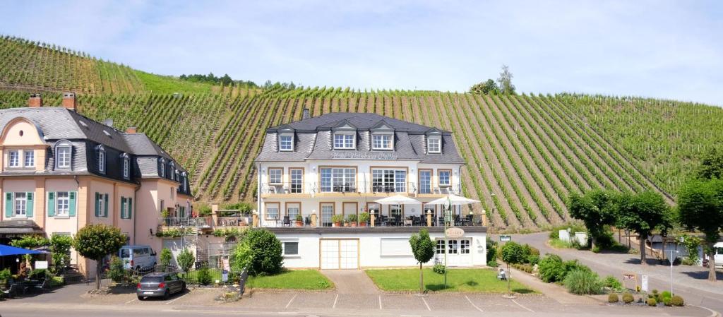 una grande casa con un vigneto su una collina di Hotel-Weinhaus Stettler a Lieser