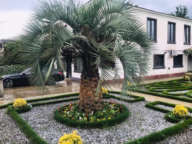 Zahrada ubytování Green Garden