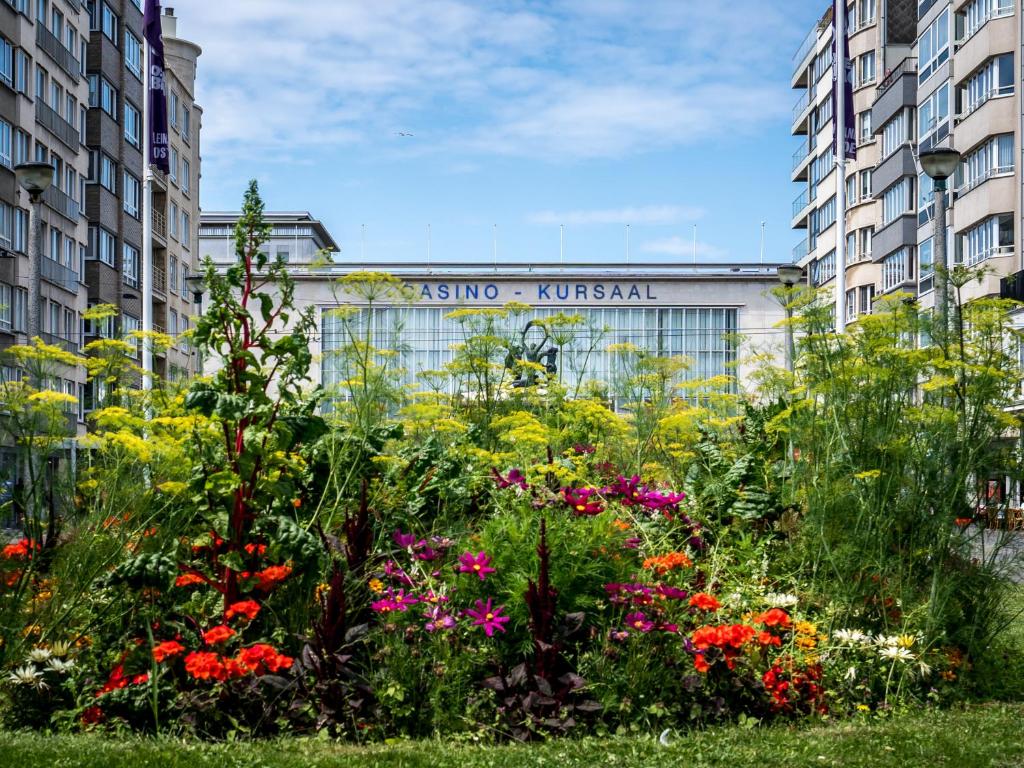 Zahrada ubytování Mercure Oostende