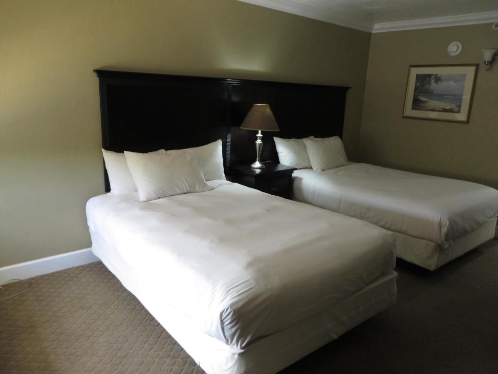 Ramada by Wyndham Lake Placid - 豪华双人间 - 带两张双人床 - 可吸烟