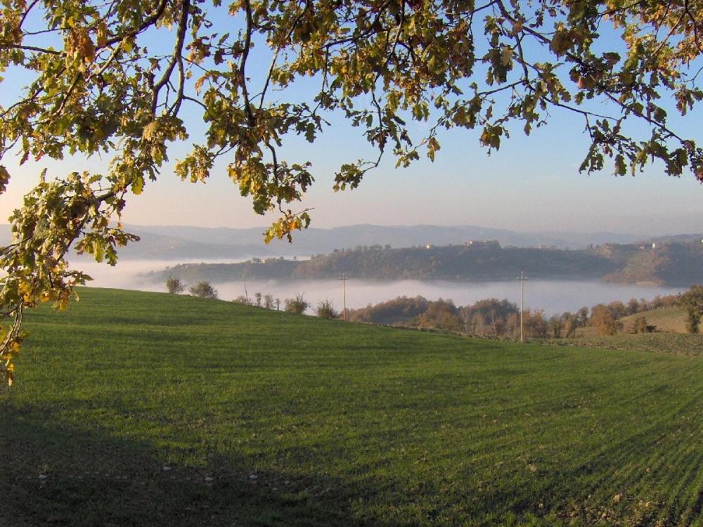 Przyroda w pobliżu tego obiektu B&B