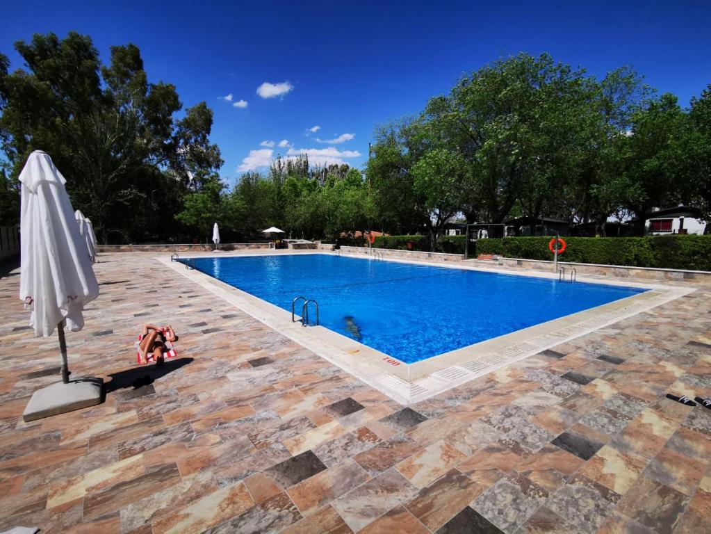 a large swimming pool with an umbrella and an umbrella at Bungalows Alpha in Getafe