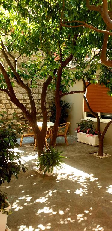 Zahrada ubytování Casa Dominova de Luxe