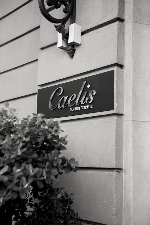 Ohla Barcelona - Resim 30