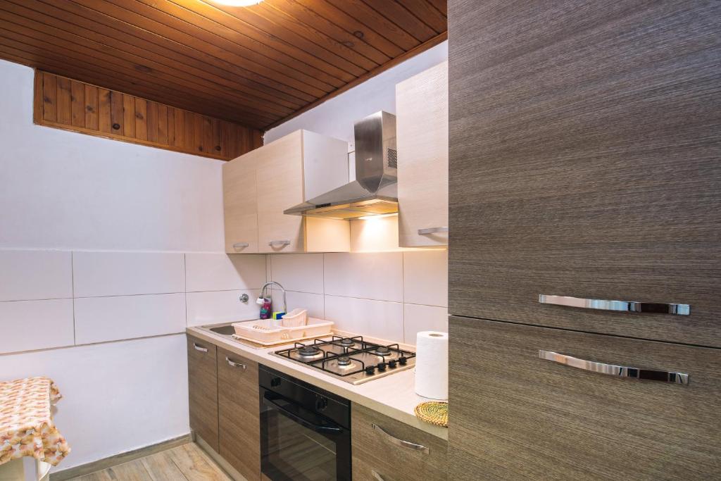 Kuchyň nebo kuchyňský kout v ubytování Apartments Stokic