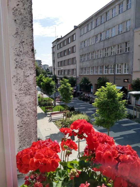 Gdynia Abrahama 23 - 12