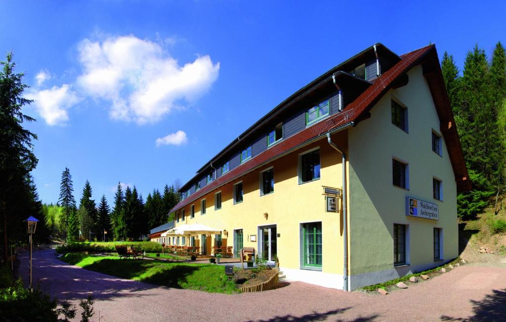 ein großes weißes Gebäude mit rotem Dach in der Unterkunft Waldhotel am Aschergraben in Geising