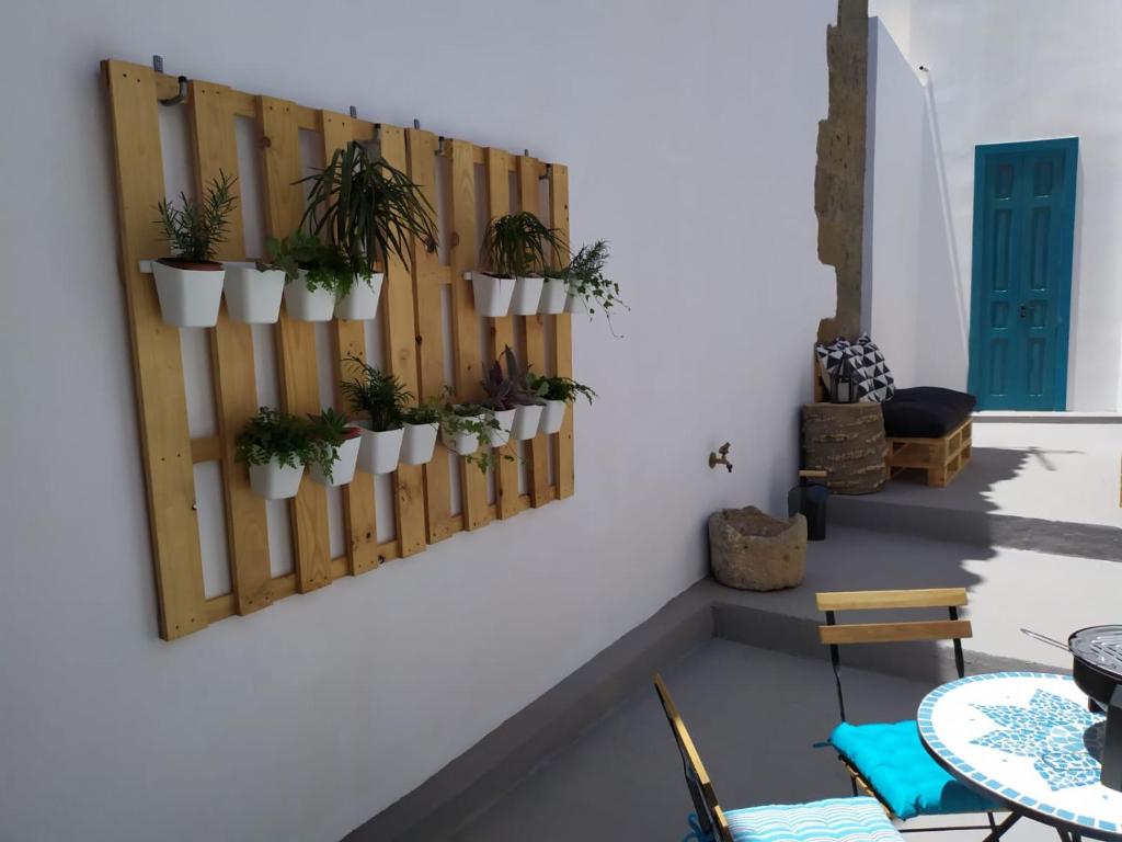 um quarto com vasos de plantas numa parede em La Casita de Ainhoa em Agüimes
