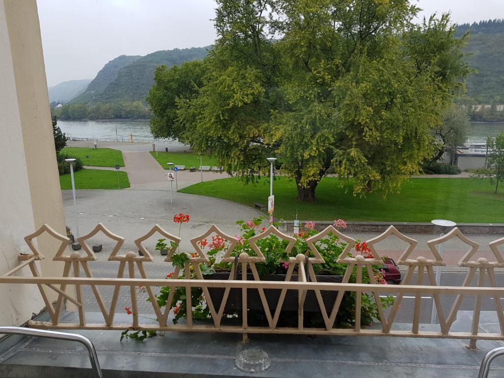 Příroda nedaleko hotelu