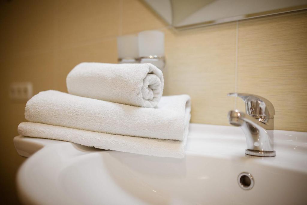 Vila Muntenia Hotel - Стандартный двухместный номер
