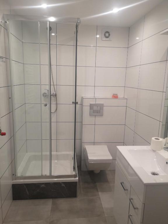Kúpeľňa v ubytovaní Apartamenty Hejszowina